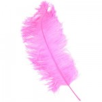 feather