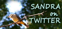 twiiter
